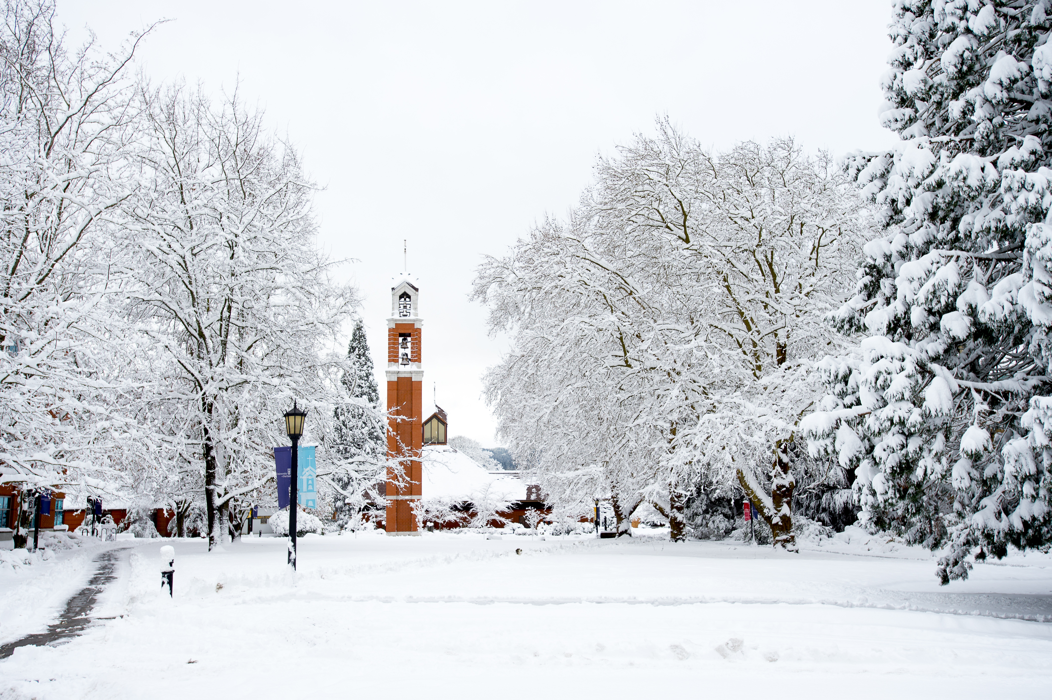 University of Portland Students